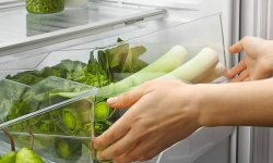 Правила хранения зелени в холодильнике
