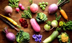 Самые поздние овощи для выращивания на грядке
