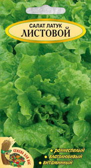 листовой салат латук
