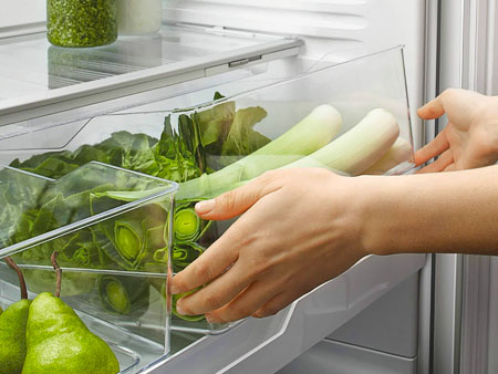зелень в холодильнике