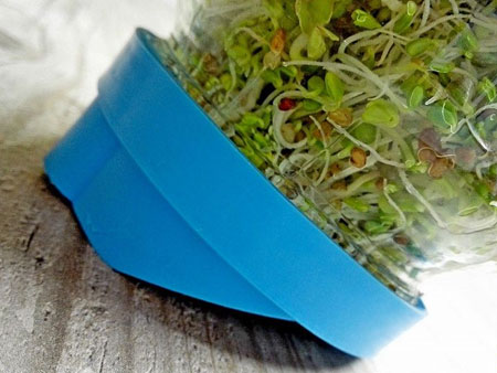 проращивание микрозелени при помощи крышки сито