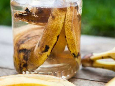 Удобрение для рассады из банановой кожуры