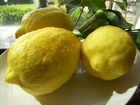 лимон Пандероза